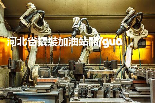 河北省撬裝加油站關(guān)鍵技術(shù)突破！化工廠拆除工程的新方法探索？